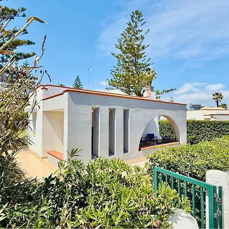 Nica's San Lorenzo *