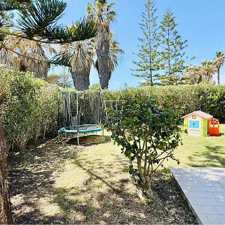 Nica's San Lorenzo *