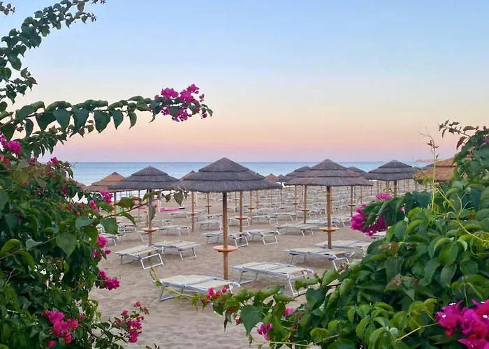 Nica's San Lorenzo 瑞塔尼